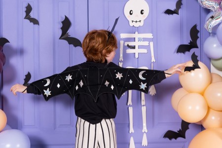 Déguisement - ailes de...