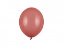 100 Ballons Strong 23 cm - Bourgogne Pastel