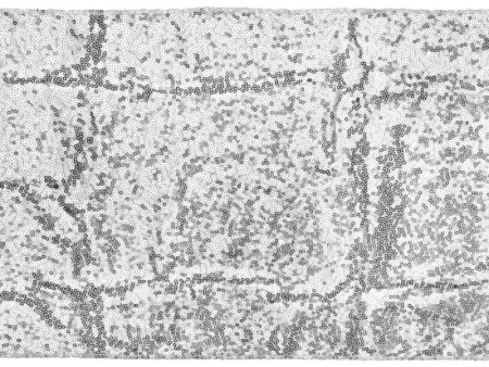 Chemin de table à...