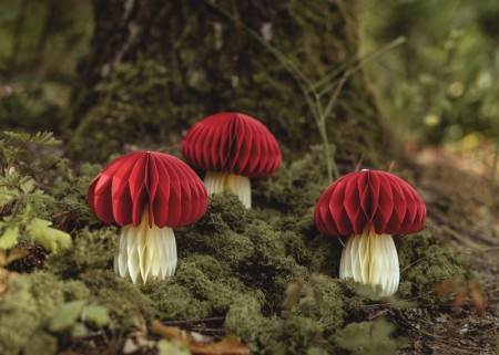 Décoration alvéolée en...