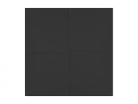 20 Serviettes en papier - noir