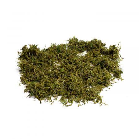 Mousse semi-sèche - 50 g